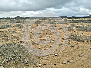 Desert in ÃÂfrica photo