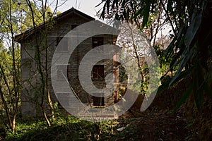 Deserted 1970s brick building in woods and weeds