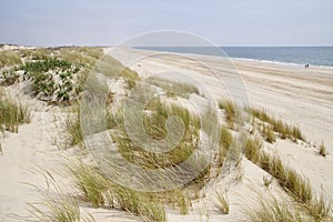 The deserted atlantic littoral of Coto de Donana National Park photo