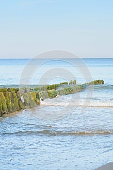 Deserted Baltic Sea beach in evening. Sea surf and soft wave. Summer mood, travel