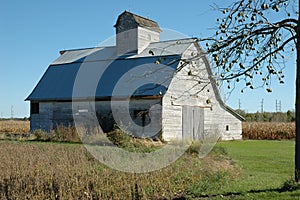 Deserted barn with apple tree