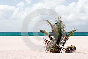 Deserted beach photo