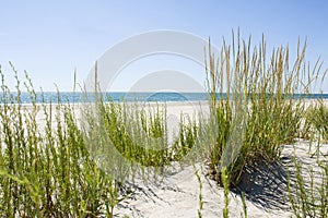 Deserted beach photo