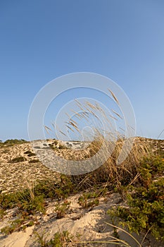 Deserted beach in Alentejo, Comporta Portugal