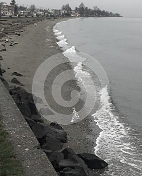 Deserted beach on a foggy morning