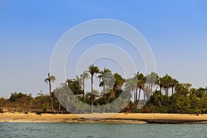 Deserted beach with palm trees in the island of Orango in Guinea Bissau.