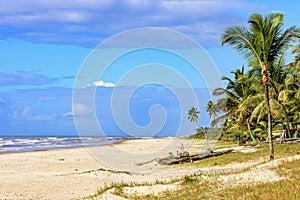 Deserted beach surrounded by coconut trees and with a rudimentary vessel photo