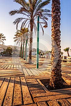 A deserted boardwalk promenade and palm trees on an early, warm  and sunny summer morning at La Herradura beach photo