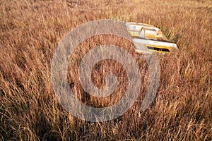 Deserted boat in withered grass