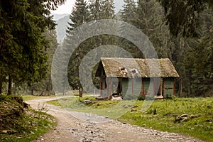 Deserted cabin