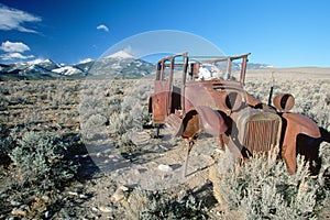 A deserted car with a cow skeleton driving in the Great Basin National Park, Nevada