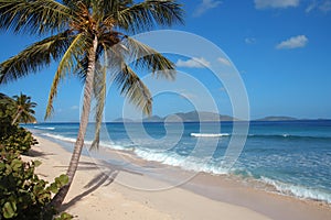 Deserted Caribbean beach photo