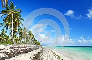 Deserted Caribbean Beach