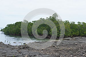 Deserted coast of the Pacific ocean on Beachcomber island in the Fiji archipelago