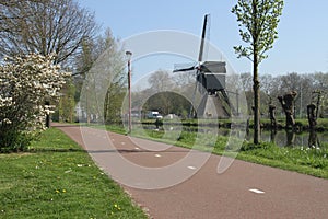 Deserted cyclepath with blossoms and windmill