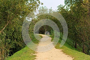 Deserted gravel hiking path