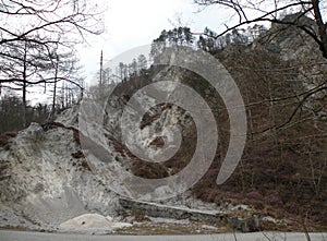 A deserted gray rocky landscape covered with spruce and spruce spruce and pine trees that have been damaged. A region like moon