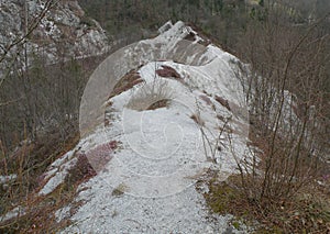 A deserted gray rocky landscape covered with spruce and spruce spruce and pine trees that have been damaged. A region like moon