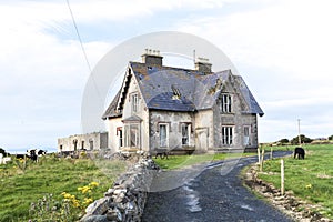 Deserted haunted house 1