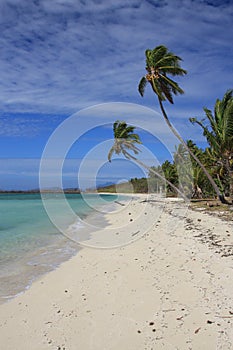 Deserted island in the tropics photo