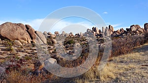 Deserted mountain landscape with red erosional formations from ancient sedimentary rocks. Joshua Tree Yucca brevifolia. Joshua