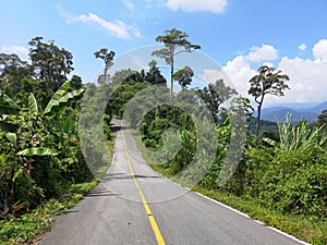 Deserted mountain road surrounded by tropical vegetation, on the way to nowhere