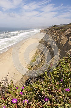 Deserted Northern California Coastline
