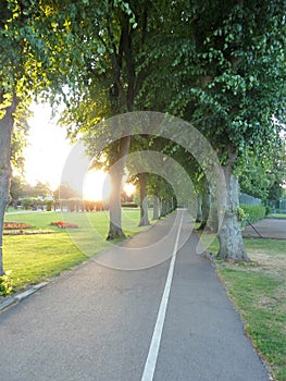 A deserted park at dawn