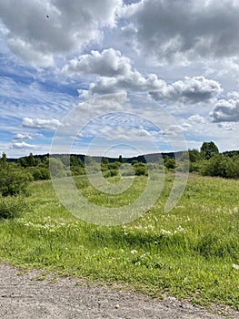 Deserted path in the summer forest, blue sky, green grass, trees