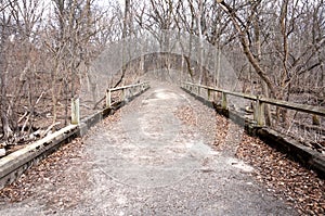A Deserted Path Through the Woods in Fall