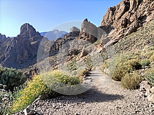 Deserted Pathways: Journey to Teide Volcanic Wilderness - Crater, Wilderness. Volcano in Tenerife with amazing Scenery