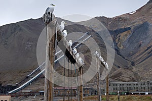 Deserted playground