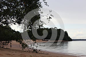 Deserted river beach on the island of Cotijuba photo