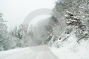 Deserted road with snow-covered trees.