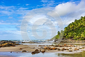 Deserted rocky beach surrounded by coconut trees and vegetation