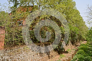 Deserted 1970s` workshop in woods by weedy dried riverway in sunny spring photo