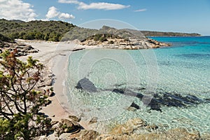 Deserted sandy beach and translucent sea in Corsica