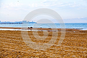 Beautiful Nature Summer Beach Background, selective focus.