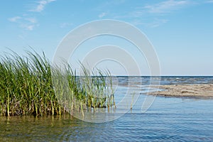 Deserted shore with dune grass and ocean waves in the background