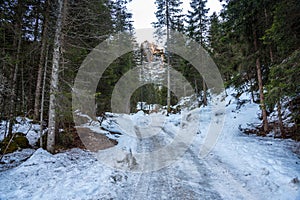 Deserted snowy forest road in a the mountains