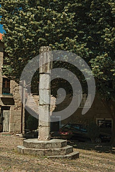 Deserted square with pillory and leafy tree