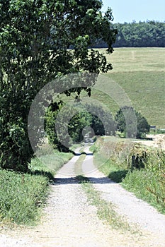 Deserted track through farmland