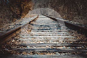 Deserted train tracks
