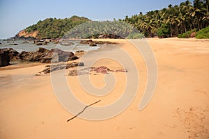 Deserted tropical beach in Goa