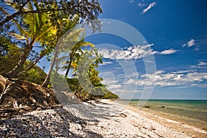 Deserted tropical beach