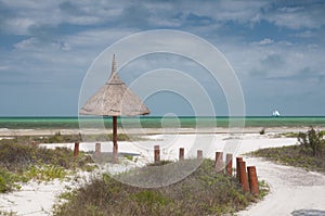 Deserted tropical beach with natural umbrella