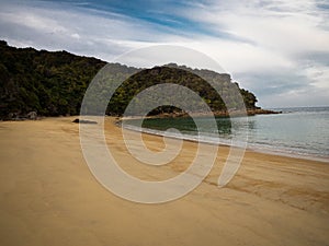 Deserted tropical pacific ocean sand beach surrounded by lush green nature in Abel Tasman National Park New Zealand