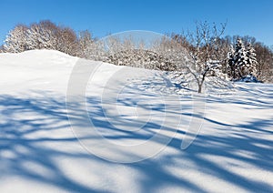 Deserted winter hilly field landscape photo