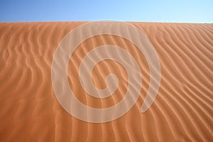 Deserts lines