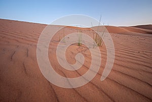 Deserts of Oman